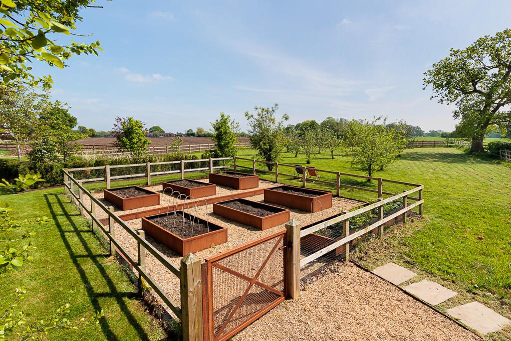 Orchard with pear and apple trees and raised planting beds